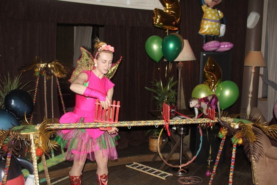 Шоу с обезьянкой